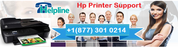 Hp Printer Support